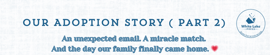 Our Adoption Story Part 2